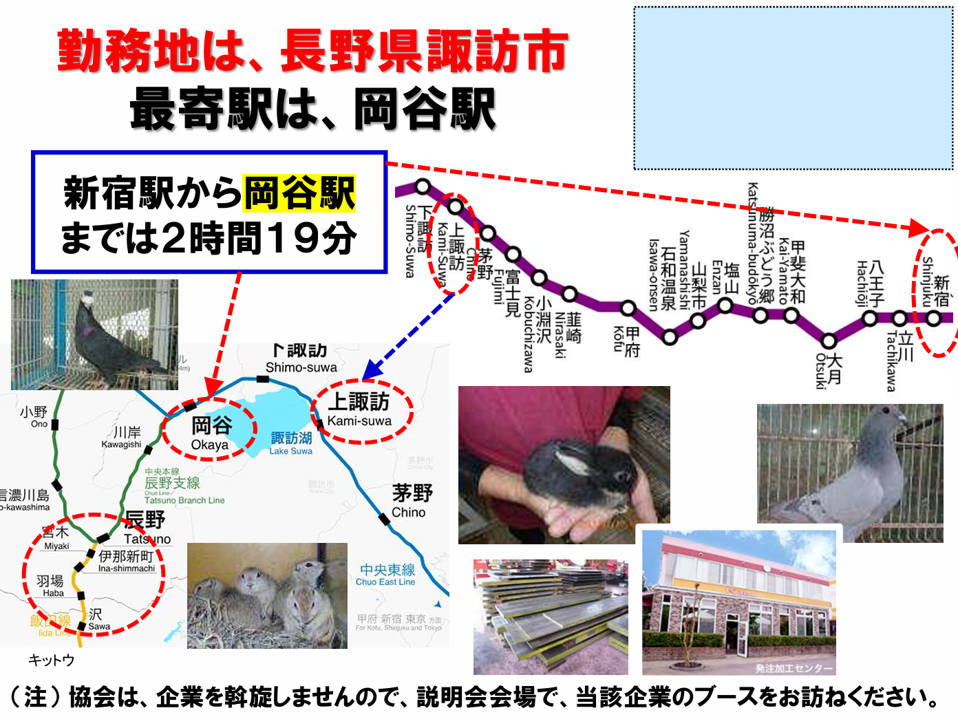 仕事、バイト、正社員